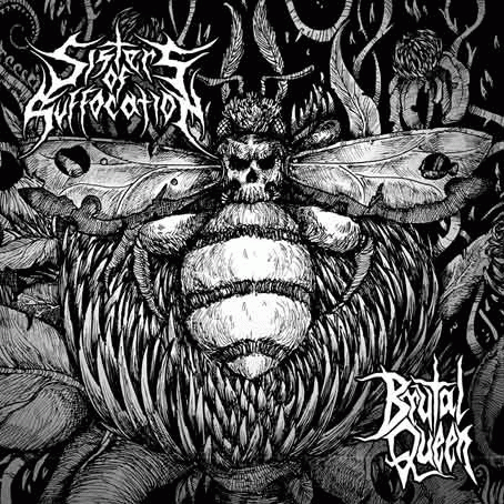 Sisters Of Suffocation : Brutal Queen Sisters Of Suffocation : Brutal Queen